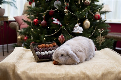 Load image into Gallery viewer, Cupid comet advent gift 'n' forage truffel schaal
