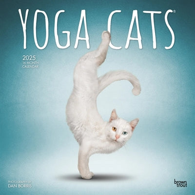 Load image into Gallery viewer, kalender yoga cats 2025
