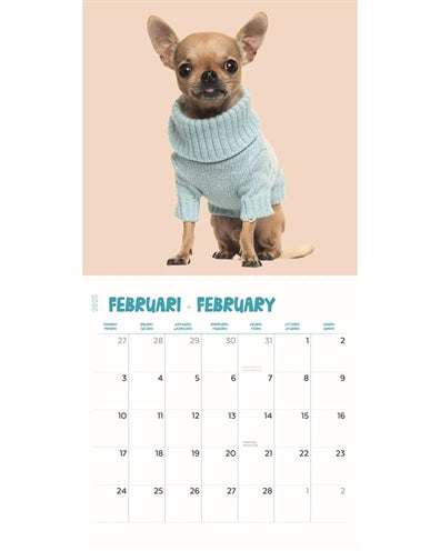 Load image into Gallery viewer, kalender chihuahua studio 2025
