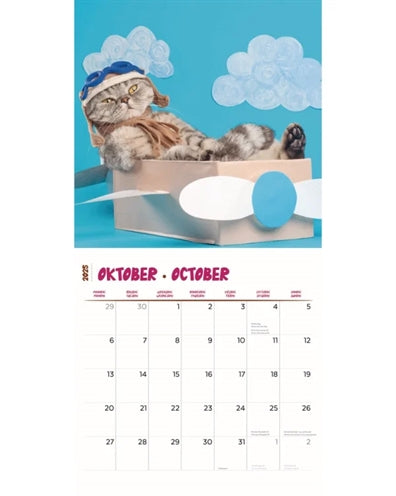 Load image into Gallery viewer, Kalender funniest cats 2025
