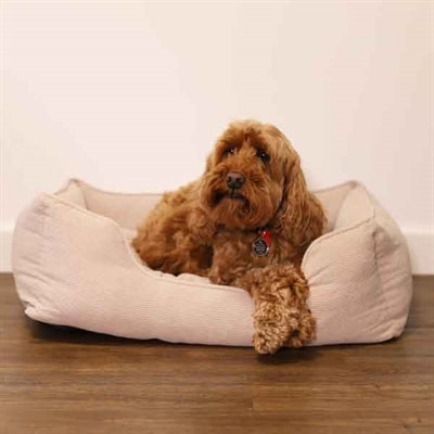 Load image into Gallery viewer, Rosewood 40 winks hondenmand cord ribstof beige
