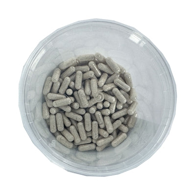 Load image into Gallery viewer, Dierendrogist darmflora opbouw verbeterend capsules
