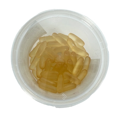 Load image into Gallery viewer, Dierendrogist zalmolie capsules
