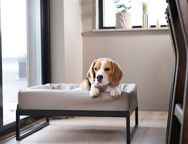 Bia air frame voor bed zwart