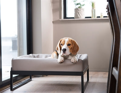 Load image into Gallery viewer, Bia air frame voor bed zwart
