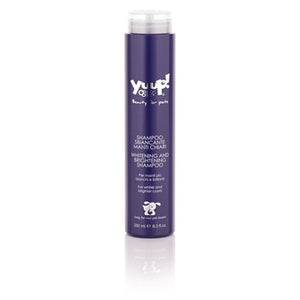 Yuup! whitening and brightening shampoo