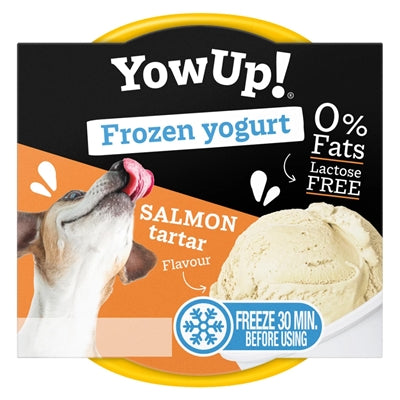 Yowup ! frozen yoghurt salmon tartar