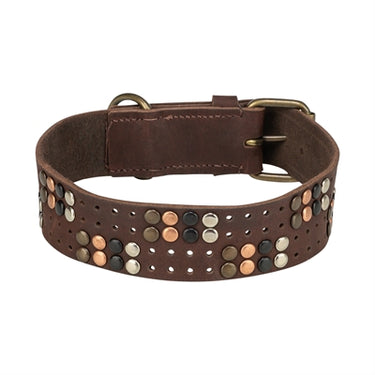 Trixie halsband hond rivet rustic vetleer donkerbruin