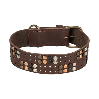 Load image into Gallery viewer, Trixie halsband hond rivet rustic vetleer donkerbruin
