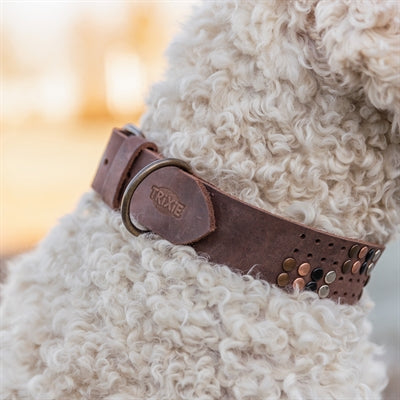 Load image into Gallery viewer, Trixie halsband hond rivet rustic vetleer donkerbruin
