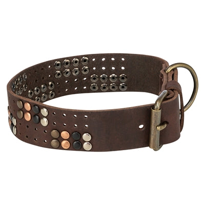 Load image into Gallery viewer, Trixie halsband hond rivet rustic vetleer donkerbruin
