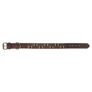 Trixie halsband hond rivet rustic vetleer donkerbruin