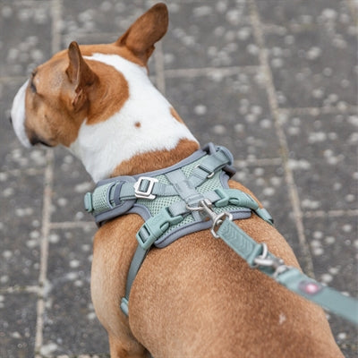 Load image into Gallery viewer, Trixie hondentuig premium flexmesh brede borst saliegroen
