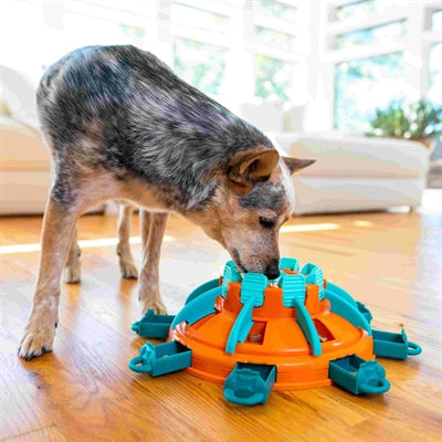 Nina ottosson tower of treats oranje blauw