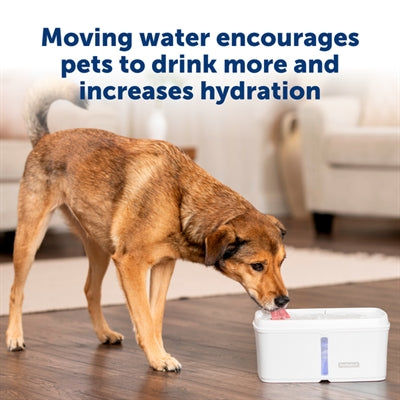 Load image into Gallery viewer, Petsafe drinkfontein viva
