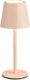 Rl live your light reality diaz - tafellamp - sand - incl. 1x smd 1,6 w - 4-stappen touch - traploos instelbare lichtkleur - usb-aansluiting - oplaadbaar - snoerloos