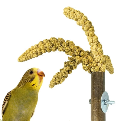 Load image into Gallery viewer, Back zoo nature grass keeper
