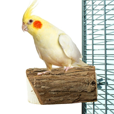 Load image into Gallery viewer, Back zoo nature wood slice perch
