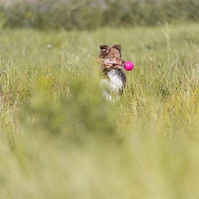 Load image into Gallery viewer, Trixie werpbal soft strong tpr roze
