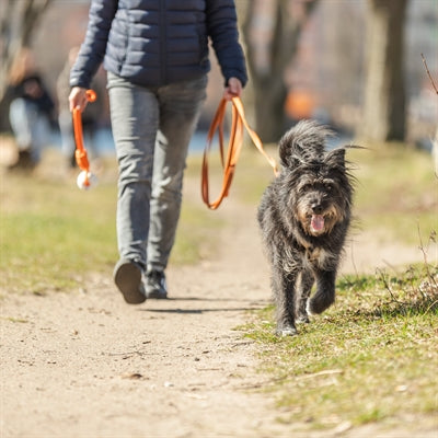 Load image into Gallery viewer, Trixie sleeplijn met rubber bekleed zonder handlus oranje

