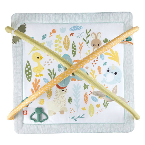 Load image into Gallery viewer, Fisher price simply senses babygym
