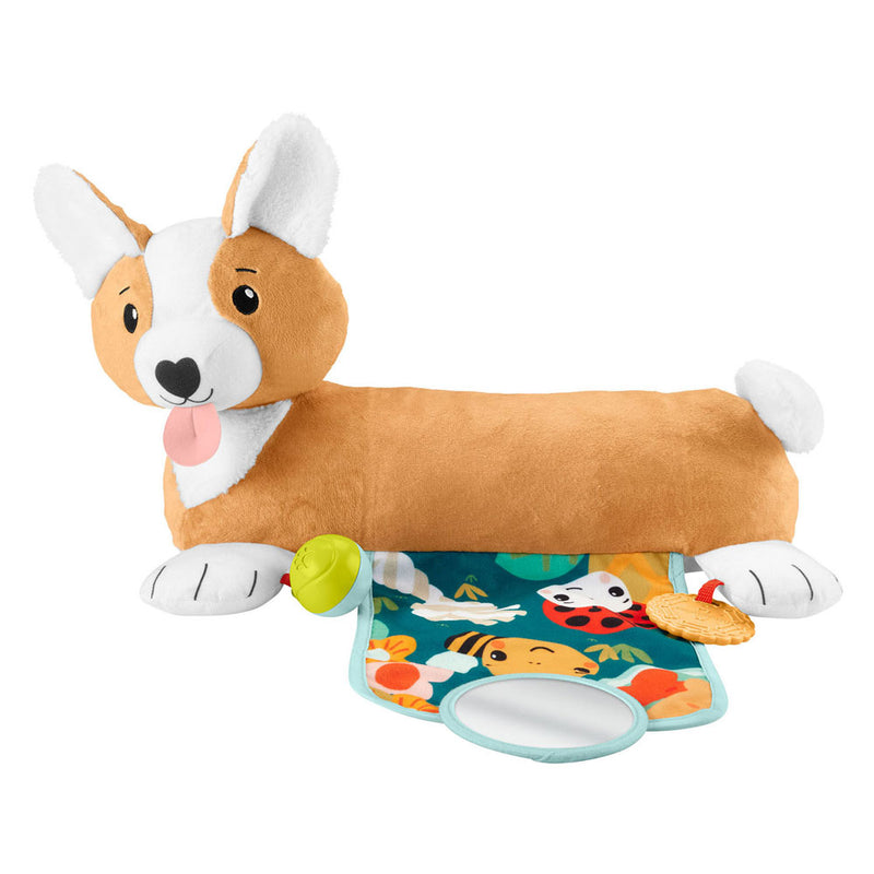 Load image into Gallery viewer, Fisher Price 3in1 Puppy Buikligtrainer
