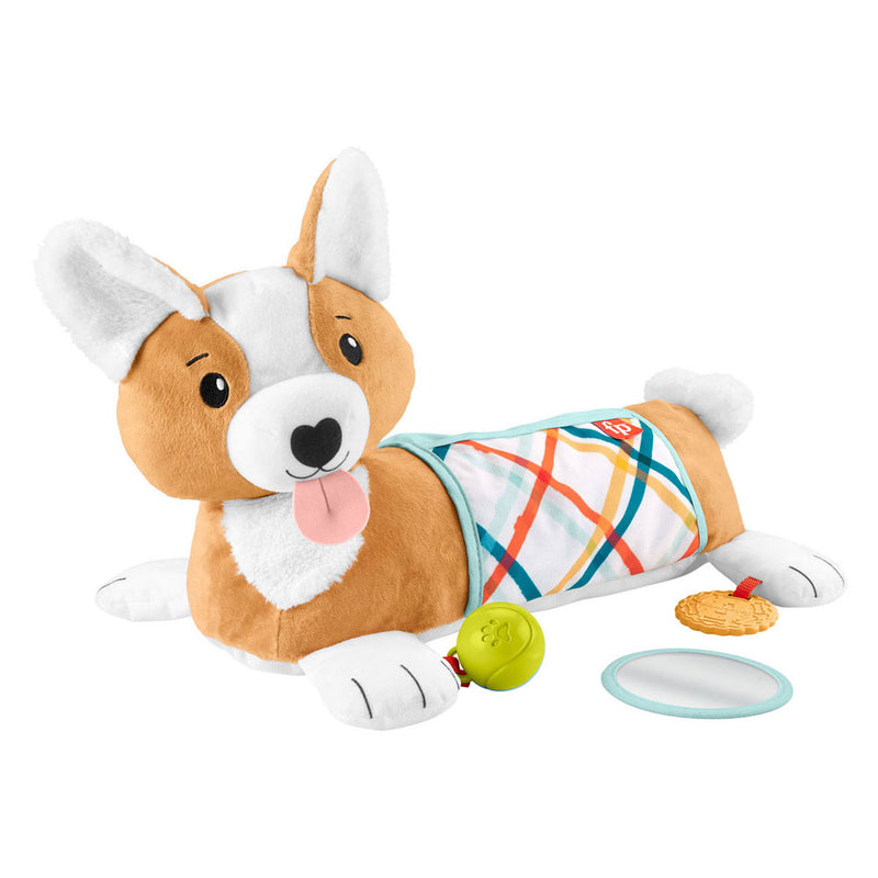 Load image into Gallery viewer, Fisher Price 3in1 Puppy Buikligtrainer

