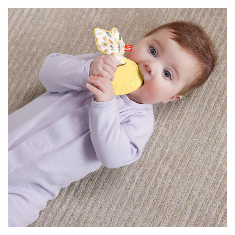 Load image into Gallery viewer, Fisher price bijt rammelaar konijn
