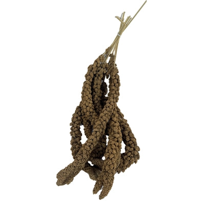 Load image into Gallery viewer, Versele-laga Prestige trosgierst
