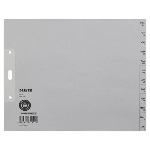 Tabbladen leitz 100 g m2 12 tabs