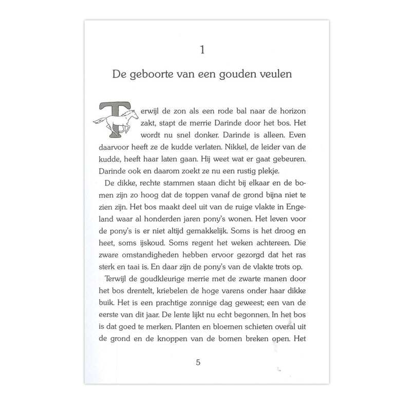 Load image into Gallery viewer, Kluitman gouden paarden: aurea de wilde pony
