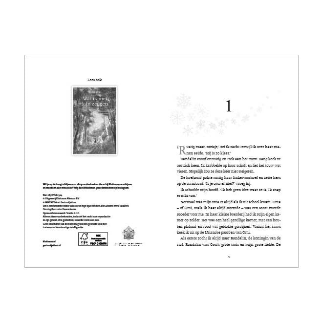 Load image into Gallery viewer, Uitgeverij kluitman het laatste geheim

