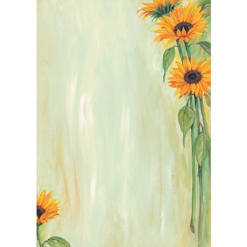 Design papier sigel a4 90 g m² 25 vel kleurenassortiment