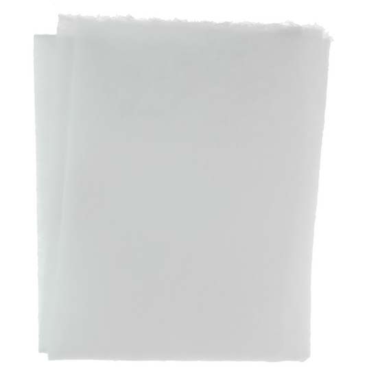 1061074 - dampkapfilter 2st 47x57cm | 10 stuks