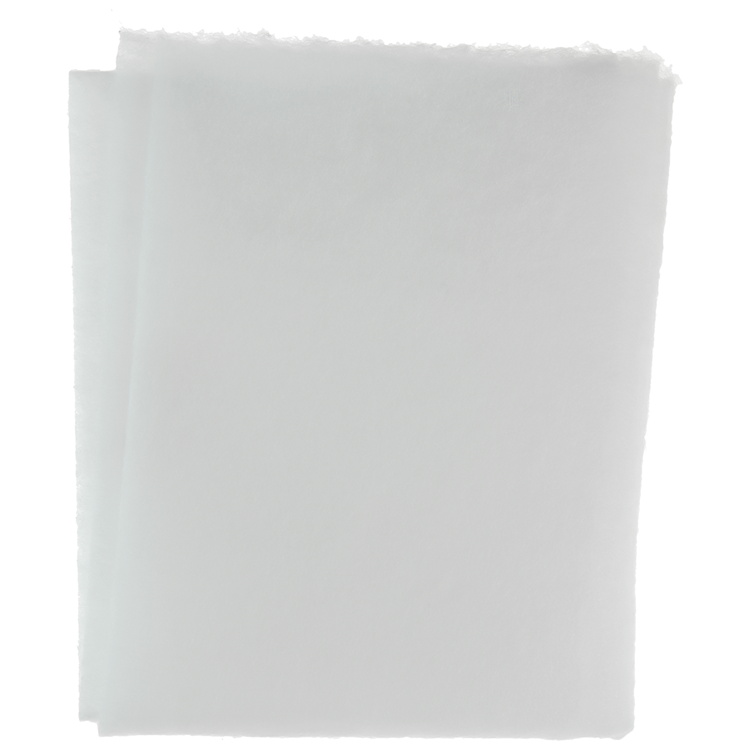 Load image into Gallery viewer, 1061074 - dampkapfilter 2st 47x57cm | 10 stuks
