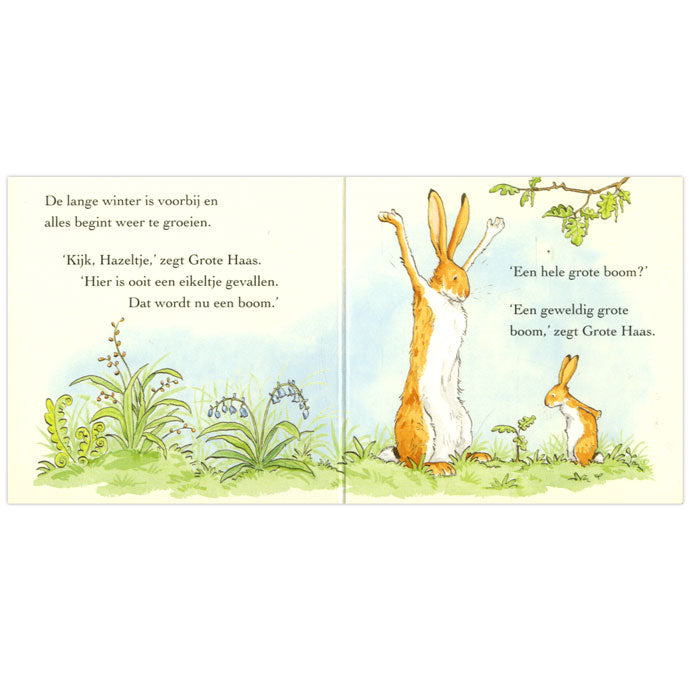 Load image into Gallery viewer, Centraal boekhuis raad eens hoeveel ik van je hou, 4st.
