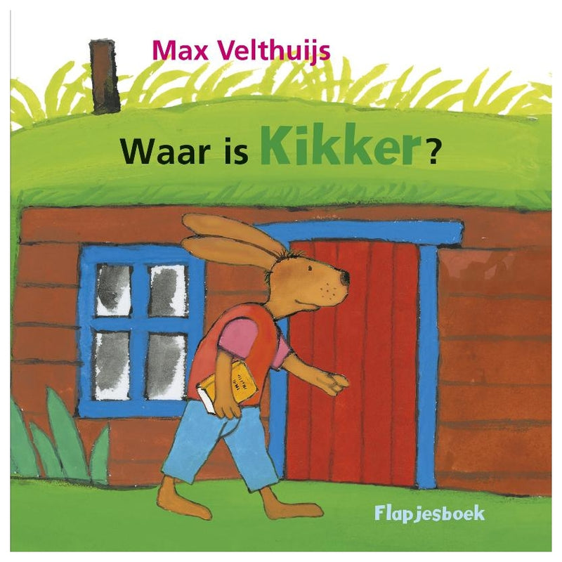 Load image into Gallery viewer, Centraal boekhuis waar is kikker?
