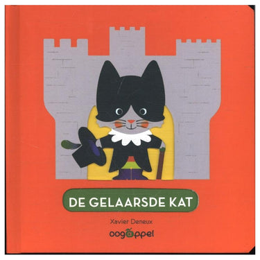 Centraal boekhuis gelaarsde kat