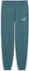 Puma ess no. 1 logo sweatpants fl b unisex broek - emerald ice