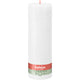 Bolsius rustiek stompkaars cloudy white ø100x300 mm 200 uur (4 stuks)