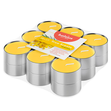 Bolsius geurtheelichten true scents mimosa ø38x18 mm 4 uur (8x 18 stuks)