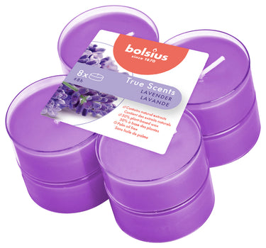 Bolsius maxilichten true scents lavender ø58x24 mm 8 uur (6x 8 stuks)