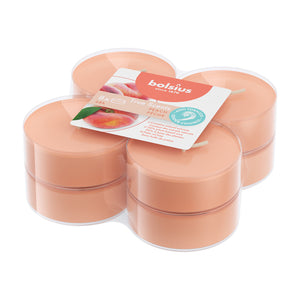 Bolsius maxilichten true scents peach ø58x24 mm 8 uur (6x 8 stuks)