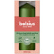 Bolsius stompkaars metallic green ø58x120 mm 33 uur (6 stuks)