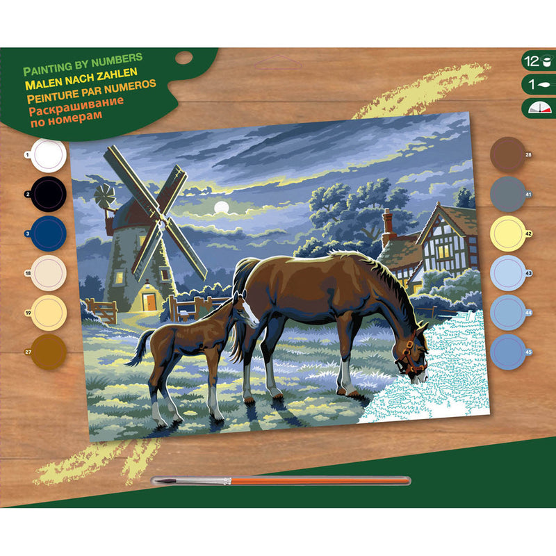 Load image into Gallery viewer, Basic Schilderen Op Nummer Paarden
