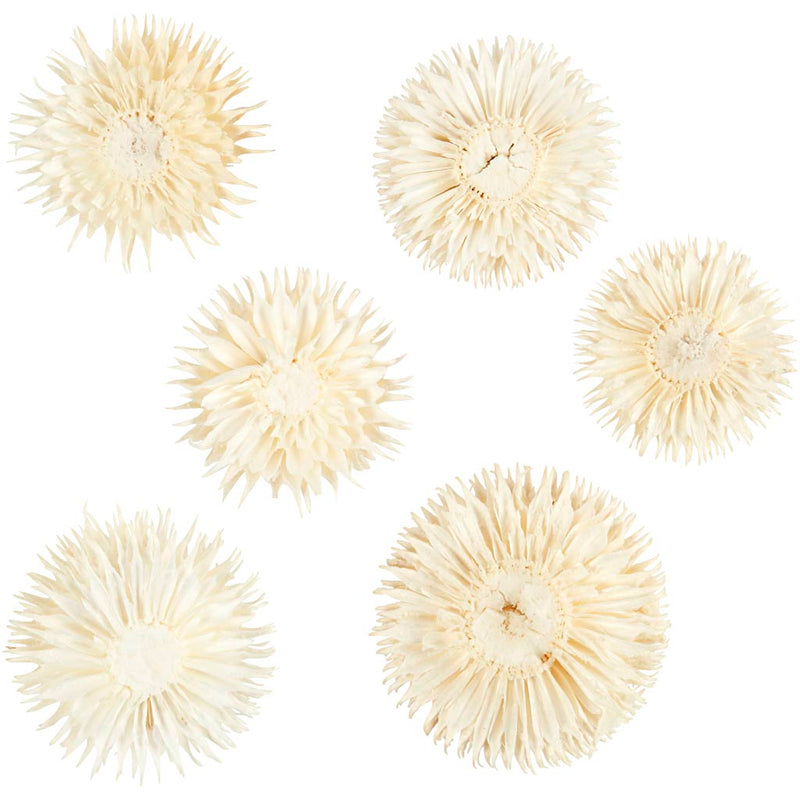 Load image into Gallery viewer, Creativ company https: www.cchobby.nl gedroogde-bloemen-d-3-5-cm-6-stuk-1-doos
