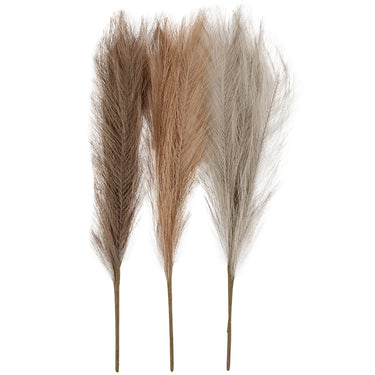 Https: www.cchobby.nl pampasgras-l-50-cm-licht-beige-lichtbruin-lichtgrijs-3-stuk-1-bol