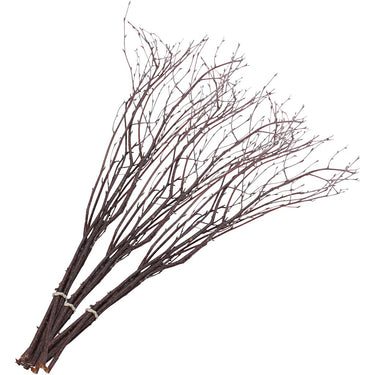 Http: www.cchobby.nl berkentakken-l-50-60-cm-20-stuk-1-doos
