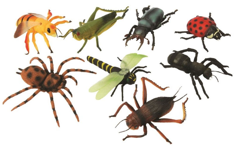 Load image into Gallery viewer, Grote insecten, 12 assortie. 15 cm. 3+

