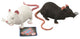 Stretch rat 18 cm. 2 assortie. 3+